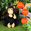 Folkmanis Puppets黑猩猩玩具/2877玩偶毛绒玩具礼物 商品缩略图3