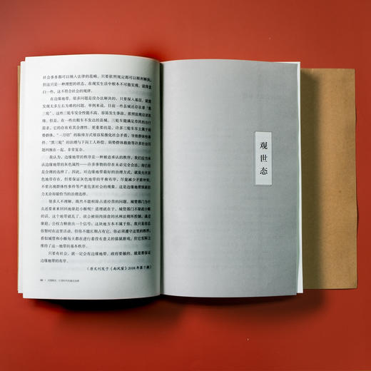 大国底色：巨变时代的基层治理 商品图6