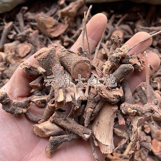 云南毛秔子梢 大红袍 1千克起购  云南野生锈钉子 精选 商品图2