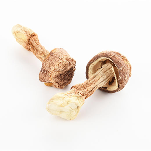 姬松茸 商品图1