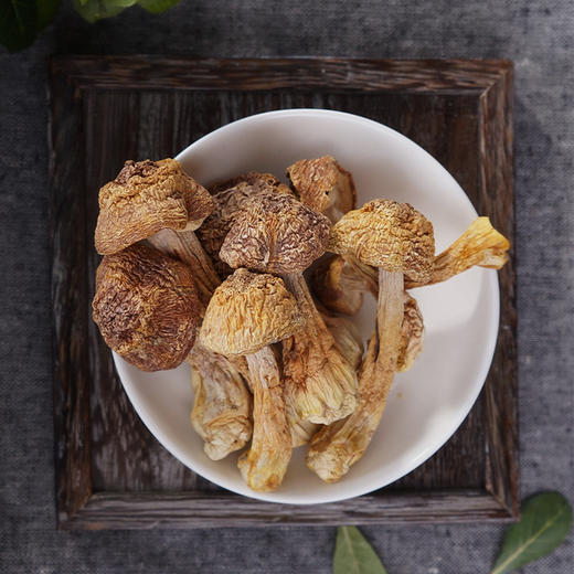 姬松茸 商品图2