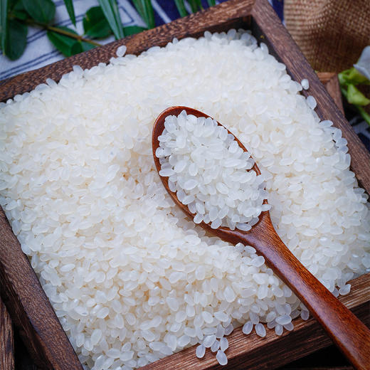 九成畈清香软米 商品图1