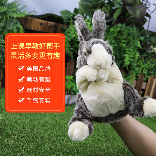 Folkmanis Puppets小荷兰兔玩具/2571玩偶毛绒玩具礼物 商品图3