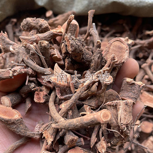 云南毛秔子梢 大红袍 1千克起购  云南野生锈钉子 精选 商品图5