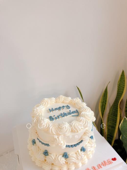 简约复古蛋糕（多颜色选择）-低糖处理无添加 商品图3