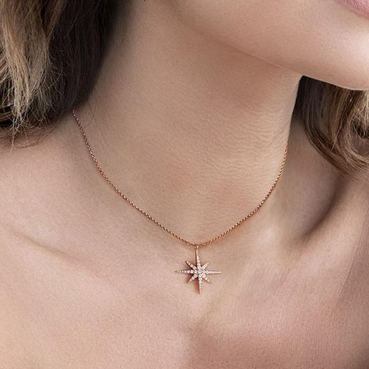 3606633229855 apm MONACO闪耀流星六芒星银镶晶项链锁骨链毛衣链女礼物 【氧化】 商品图0