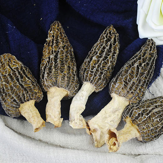 羊肚菌（干货） 商品图1