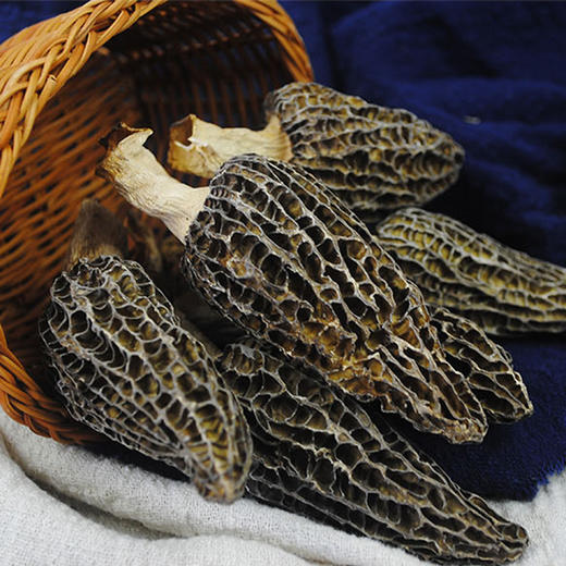 羊肚菌（干货） 商品图0