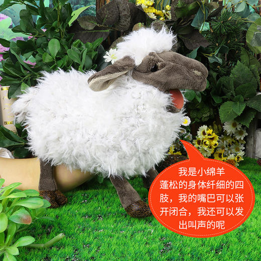 Folkmanis Puppets叫声绵羊玩具/3058玩偶毛绒玩具礼物 商品图2