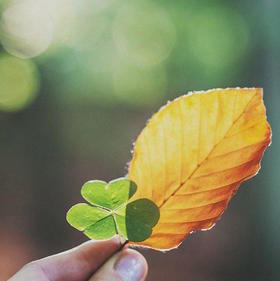 那些“不婚主义”者，后来都怎么样了？这是五个过来人的答案