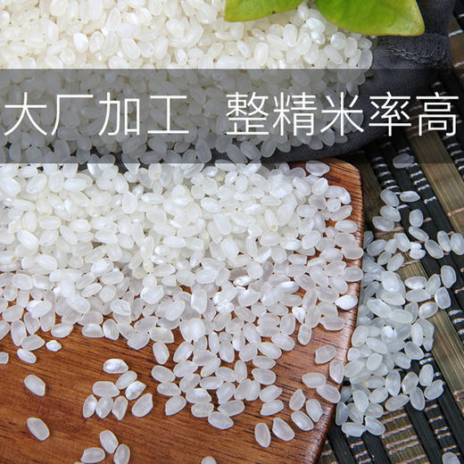 九成畈富硒稻香米 商品图2