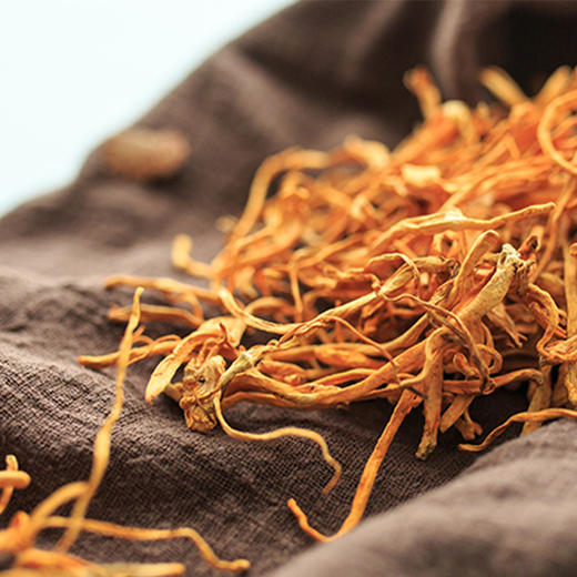 虫草花 商品图3