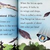 【中商原版】Step Into Reading2：Wild Fliers! - Dlx Sir 阅读进阶2级：动物兄弟野生动物 儿童科普 平装 英文原版 3-6岁 商品缩略图3