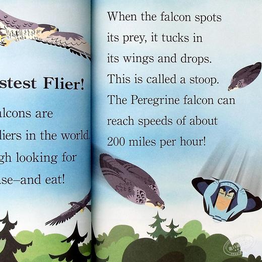 【中商原版】Step Into Reading2：Wild Fliers! - Dlx Sir 阅读进阶2级：动物兄弟野生动物 儿童科普 平装 英文原版 3-6岁 商品图3