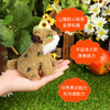 Folkmanis Puppets小山猫指套玩具/2740玩偶毛绒玩具礼物 商品缩略图4