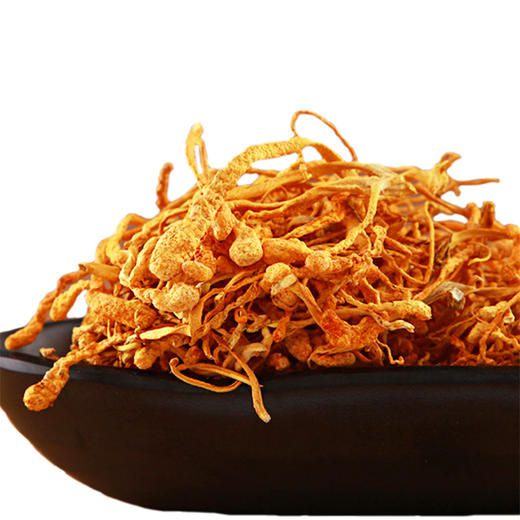 虫草花 商品图1