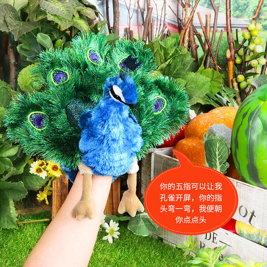 Folkmanis Puppets小孔雀玩具/2834玩偶毛绒玩具礼物 商品图3