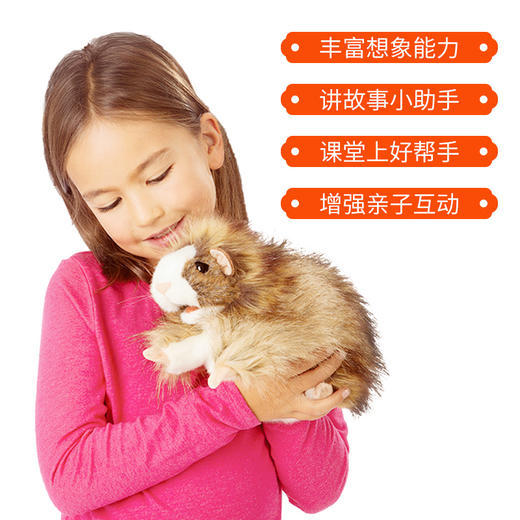 Folkmanis Puppets豚鼠玩具/3070玩偶毛绒玩具礼物 商品图4