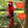 Folkmanis Puppets 金刚鹦鹉玩具/2362玩偶毛绒玩具礼物 商品缩略图2