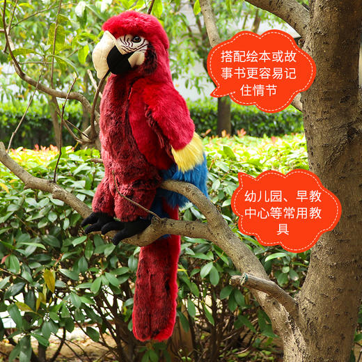 Folkmanis Puppets 金刚鹦鹉玩具/2362玩偶毛绒玩具礼物 商品图2