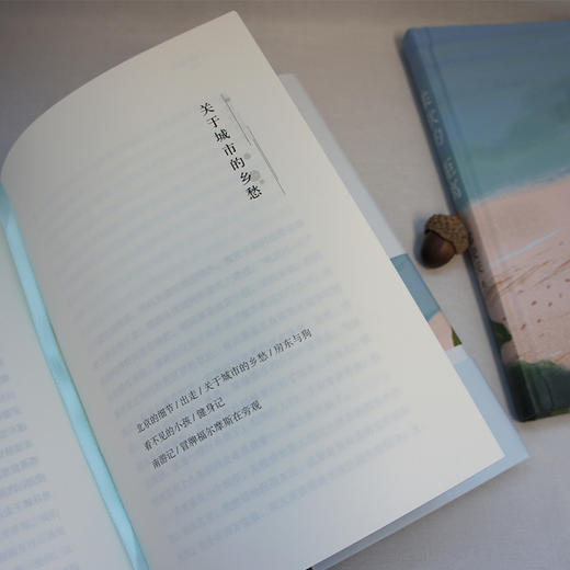 柔软的距离 精装版 豆瓣实力作家邓安庆用文字丈量乡村与城市的距离 现当代文学散文随笔社会小说3000815 商品图6