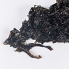 【活冻紫菜】至鲜活冻  鲜紫菜  140g  鲜嫩可口 商品缩略图1