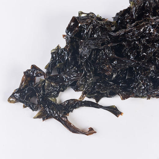 【活冻紫菜】至鲜活冻  鲜紫菜  140g  鲜嫩可口 商品图1
