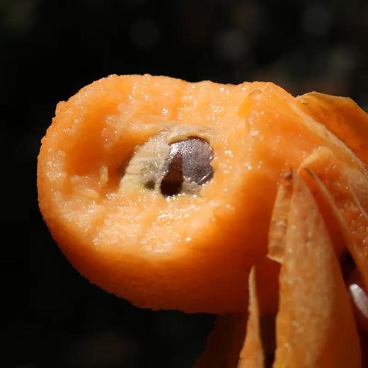 『石棉五星枇杷』肥美柔滑，甜润多汁，细嫩化渣，皮薄肉厚 商品图1