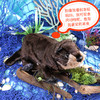 Folkmanis Puppets水獭玩具/2266玩偶毛绒玩具礼物 商品缩略图2