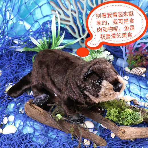 Folkmanis Puppets水獭玩具/2266玩偶毛绒玩具礼物 商品图2