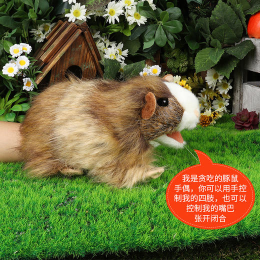 Folkmanis Puppets豚鼠玩具/3070玩偶毛绒玩具礼物 商品图3