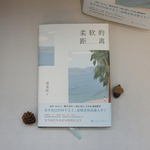 柔软的距离 精装版 豆瓣实力作家邓安庆用文字丈量乡村与城市的距离 现当代文学散文随笔社会小说3000815 商品图2
