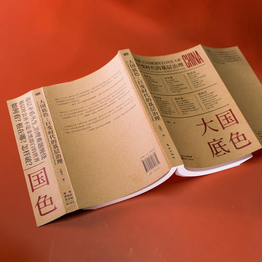 大国底色：巨变时代的基层治理 商品图4