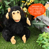 Folkmanis Puppets黑猩猩玩具/2877玩偶毛绒玩具礼物 商品缩略图2