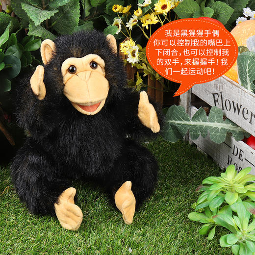 Folkmanis Puppets黑猩猩玩具/2877玩偶毛绒玩具礼物 商品图2
