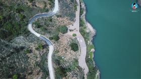  2021年茶山行第6季︱日记19：昔归，澜沧江边惊艳世人的情人茶！ 