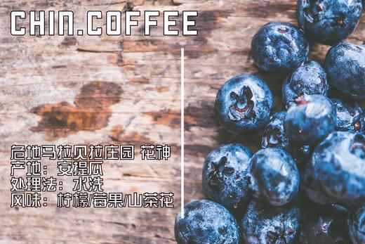 危地马拉 贝拉庄园 花神 商品图0