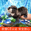Folkmanis Puppets水獭玩具/2266玩偶毛绒玩具礼物 商品缩略图4