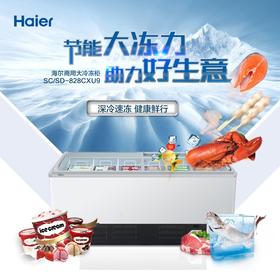 海尔（Haier）冷柜SC/SD-828CXU9