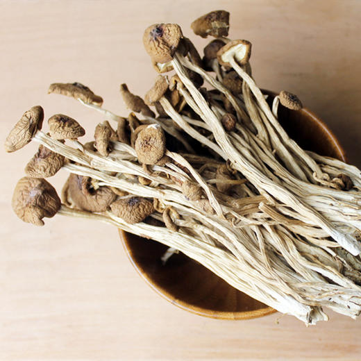 黄面不开伞茶树菇 商品图2