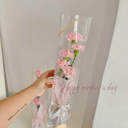 《非你莫属》-透视手提盒 商品图1