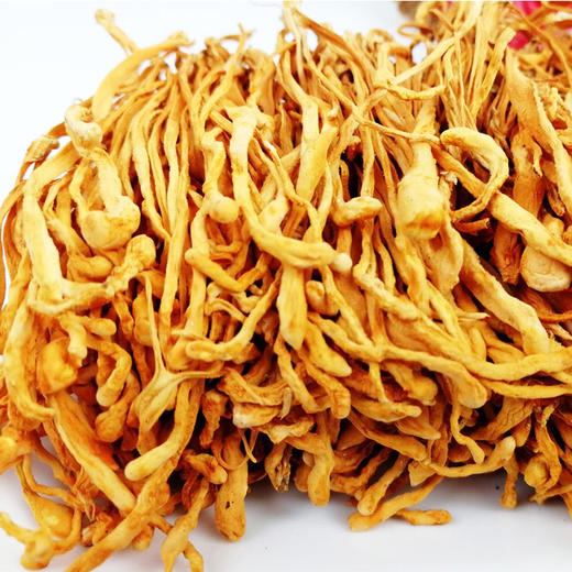 虫草花 商品图4