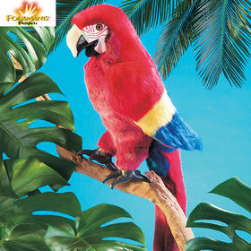 Folkmanis Puppets 金刚鹦鹉玩具/2362玩偶毛绒玩具礼物