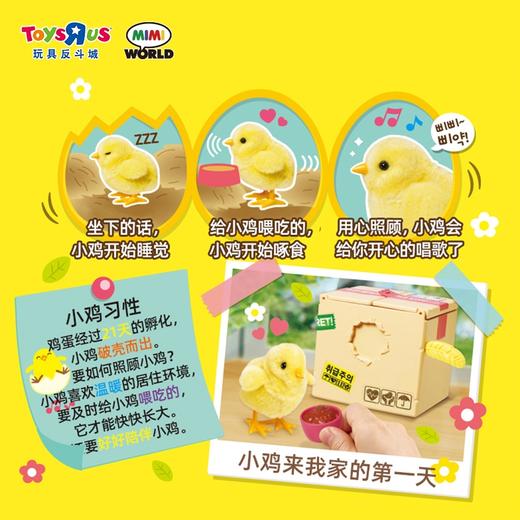 Mimiworld 家有小萌鸡 儿童互动可爱仿真电动萌宠3+ 商品图1