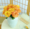 【金色海岸玫瑰.第二份减10元】10支/份 长约60-65cm 商品缩略图4