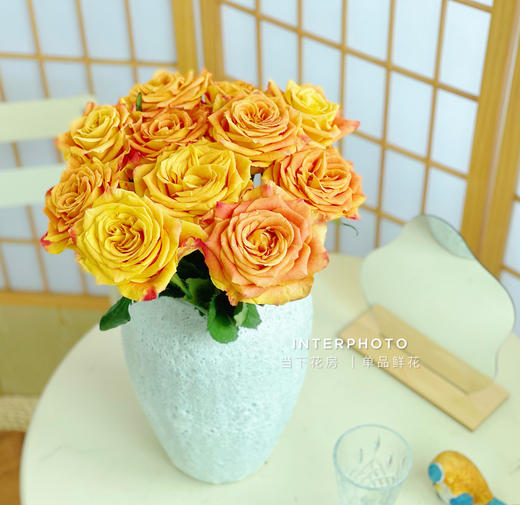 【金色海岸玫瑰.第二份减10元】10支/份 长约60-65cm 商品图4