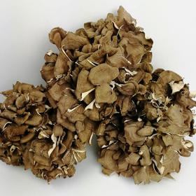 灰树花（干货）