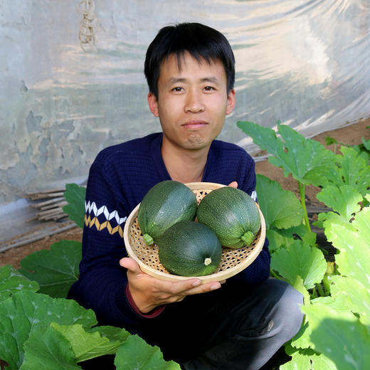 每日现摘  密农人家  墨玉西葫芦  西葫芦  长圆两种随机发货  口感皆佳  脆嫩爽口  300g 商品图7