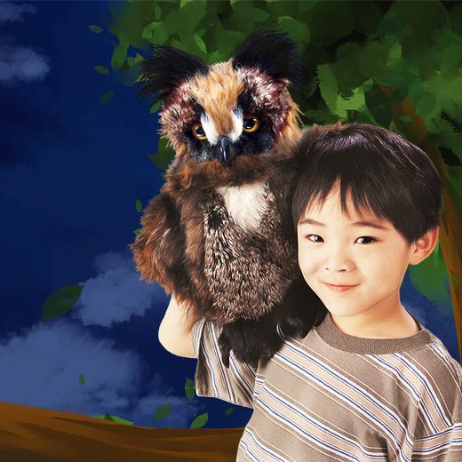 Folkmanis Puppets眨眼猫头鹰玩具/2403玩偶毛绒玩具礼物 商品图2