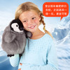 Folkmanis Puppets皇企鹅玩具/3126玩偶毛绒玩具礼物 商品缩略图2